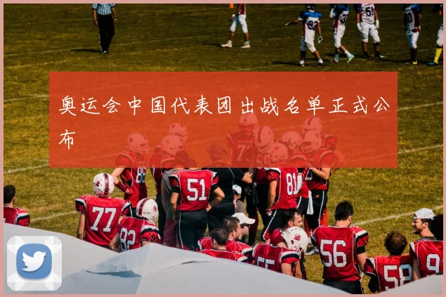 奥运会中国代表团出战名单正式公布