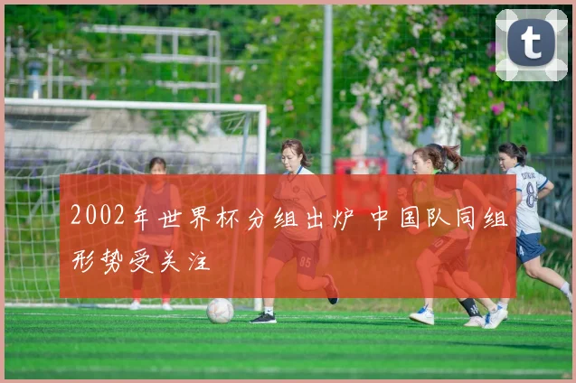 2002年世界杯分组出炉 中国队同组形势受关注