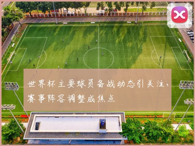 世界杯主要球员备战动态引关注,赛事阵容调整成焦点